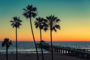 Surf en los Estados Unidos, California